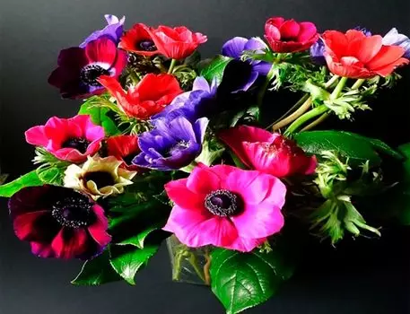 Картина по номерам «Яркие цветы»