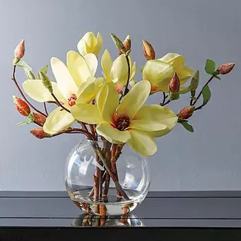 Картина по номерам «Желтые магнолии»