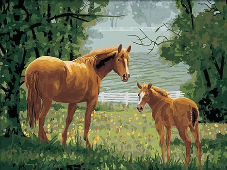 Картина по номерам «Жеребенок с мамой»