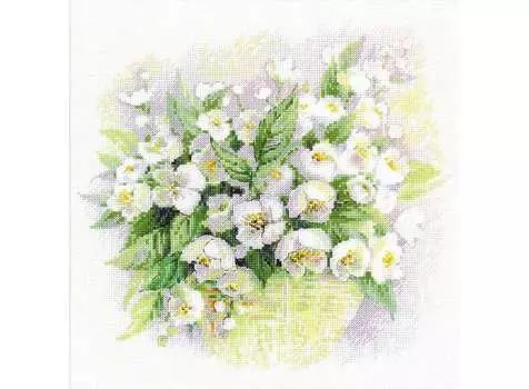 Набор для вышивания «Акварельный жасмин»