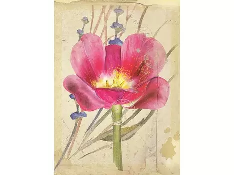 Набор для вышивания «Алая фантазия» (открытка)