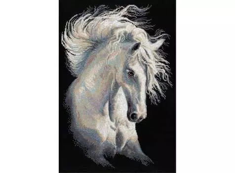 Набор для вышивания «Андалузский характер»