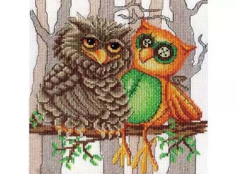 Набор для вышивания «Друг совы»