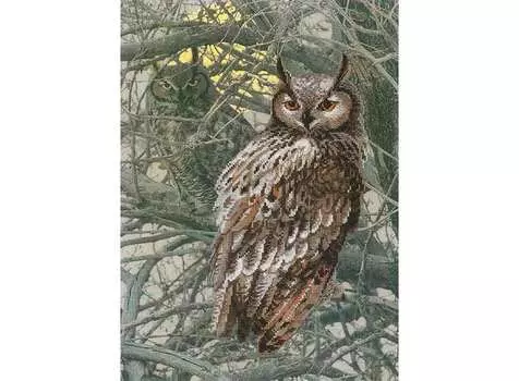 Набор для вышивания «Филин»