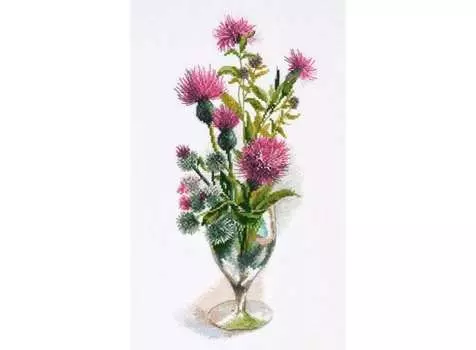 Набор для вышивания «Колючая настойка»