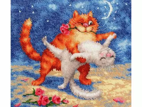 Набор для вышивания «Котанго»