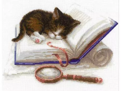 Набор для вышивания «Котенок на книжке»