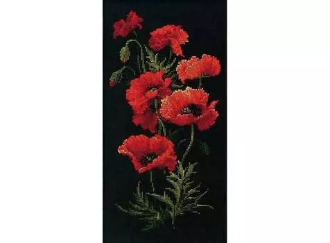 Набор для вышивания «Маки»