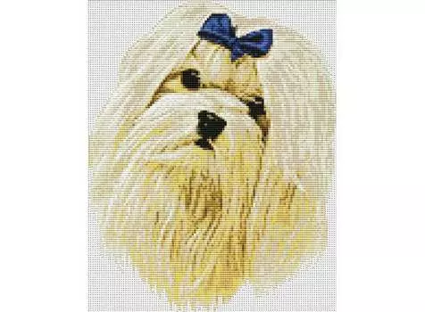 Набор для вышивания «Мальтийская болонка»