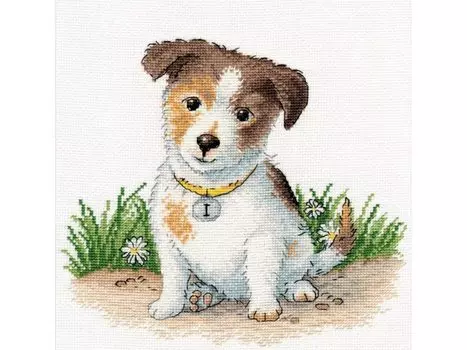 Набор для вышивания «Маленький чемпион»