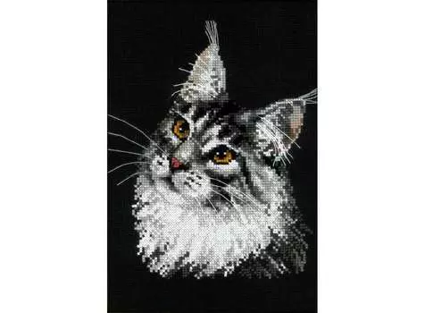 Набор для вышивания «Мейн-кун»