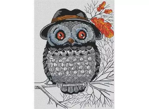 Набор для вышивания «Мистер Сова»