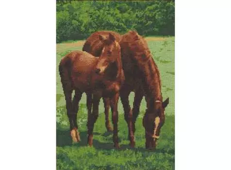 Набор для вышивания «На лугу»