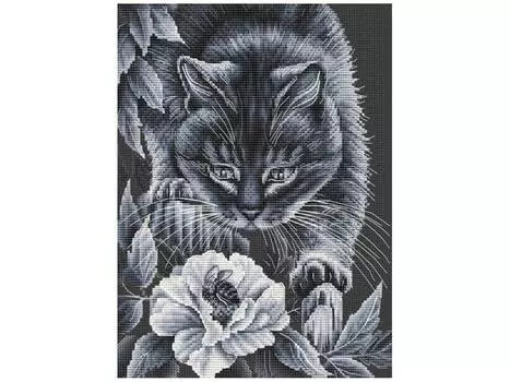 Набор для вышивания «Ночные приключения»