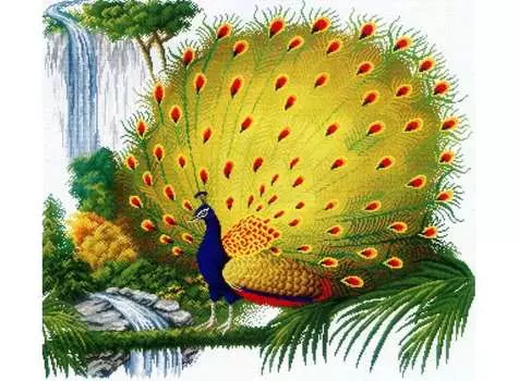 Набор для вышивания «Очаровательный павлин»