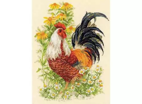 Набор для вышивания «Петух»