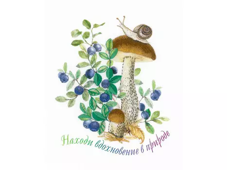 Набор для вышивания «Подберезовик»