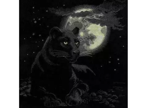 Набор для вышивания «Полнолуние»