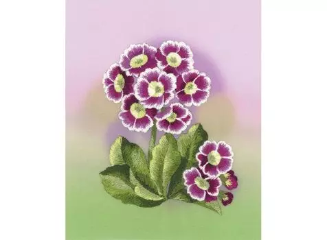 Набор для вышивания «Примулы»