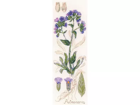 Набор для вышивания «Пульмонария»