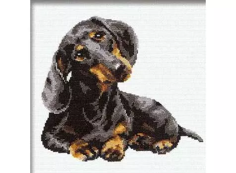 Набор для вышивания «Такса»