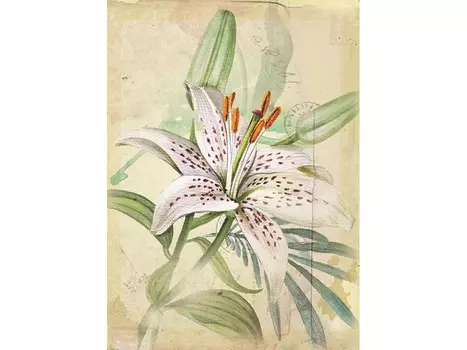 Набор для вышивания «Тигровая фантазия» (открытка)