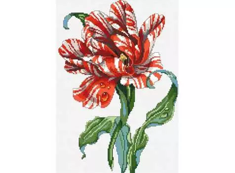 Набор для вышивания «Тигровый тюльпан»