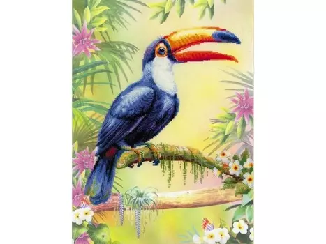 Набор для вышивания «Тукан»