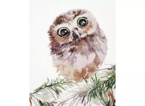 Набор для вышивания «Удивление»