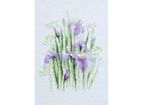 Набор для вышивания «Весенние ирисы»