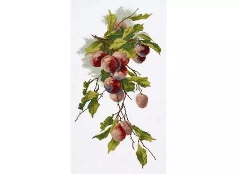 Набор для вышивания «Ветка сливы»