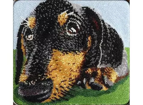 Набор вышивки бисером «Такса»