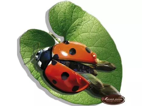 Папертоль «Божья коровка»