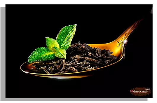 Папертоль «Чай с мятой»