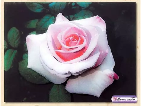 Папертоль «Роза»