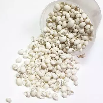 Ракушки Монгос белый, 100 г, ResinArt
