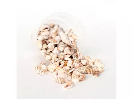 Ракушки Nessa Brown, 100 мл, ResinArt