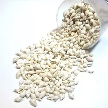 Ракушки Nessa White, 100 мл, ResinArt