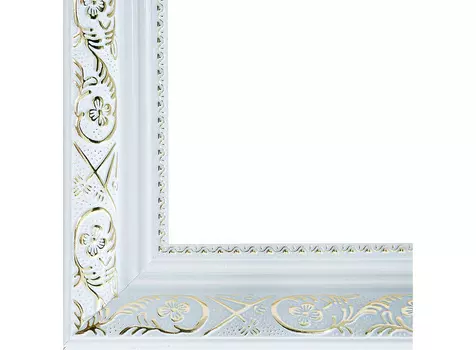 Рамка для картин «Flora»