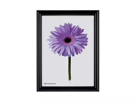 Рамка для картин «Maria»