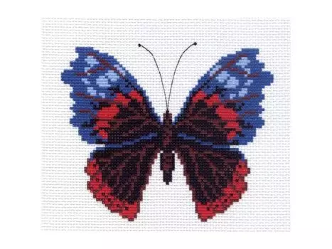 Рисунок на канве «Аполлон»