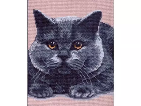 Рисунок на канве «Британец»