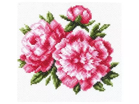 Рисунок на канве «Пионы»