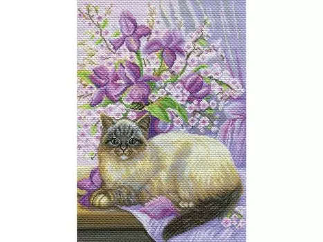 Рисунок на канве «Сиреневая нежность»