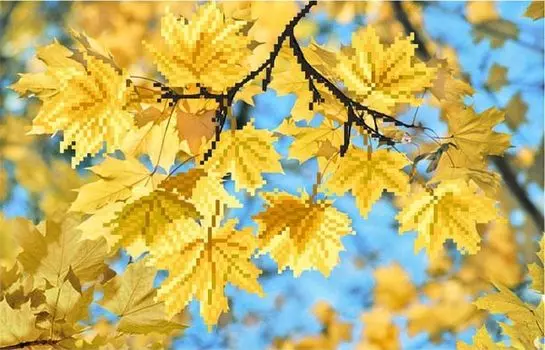 Рисунок на шелке «Ветка клена»