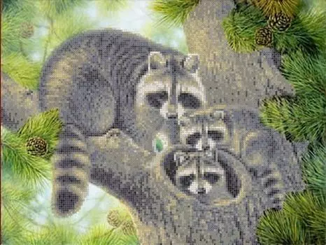 Рисунок на ткани «Еноты»