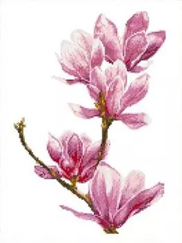 Рисунок на ткани «Магнолия»