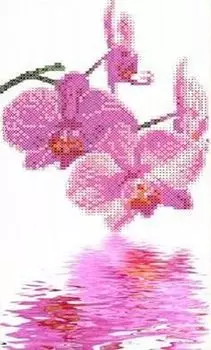 Рисунок на ткани «Орхидеи»