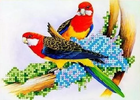 Рисунок на ткани «Попугаи»