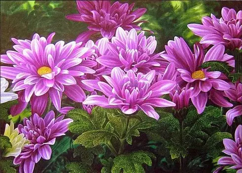 Рисунок на ткани «Розовые хризантемы»